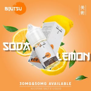 Tinh dầu Bijutsu Juice Saltnic 30/50MG - Đủ Vị Mát Lạnh